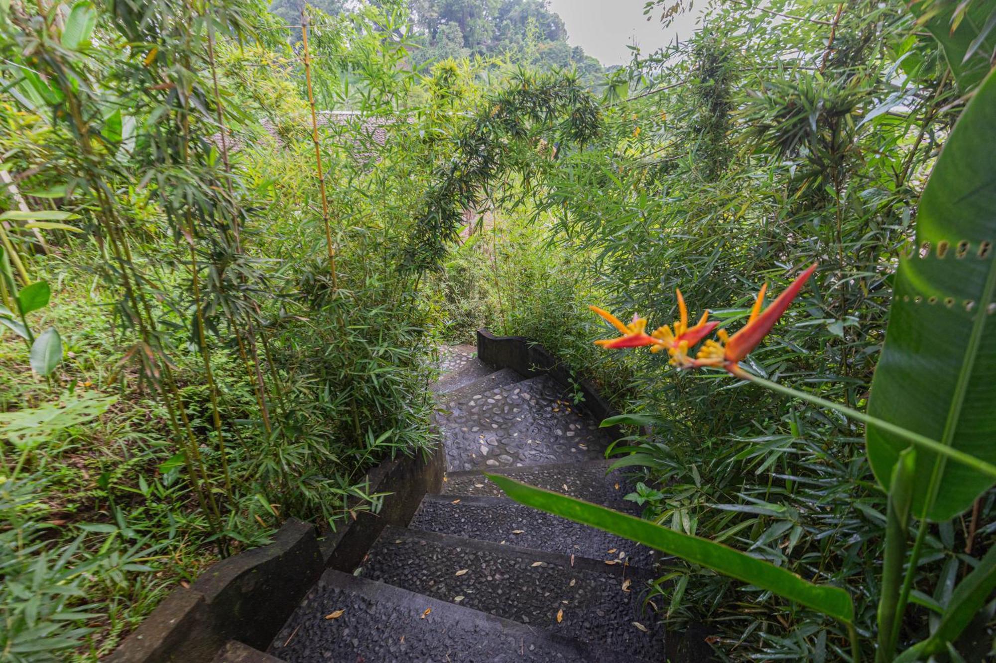 Shigar Livin Bali Villa Sidemen  Buitenkant foto